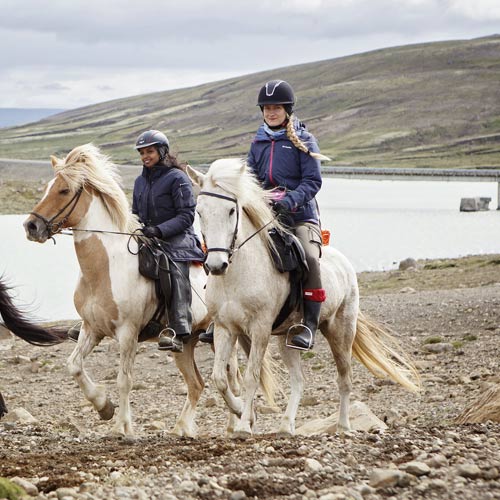 Riding icelandic horses © Islandshestar