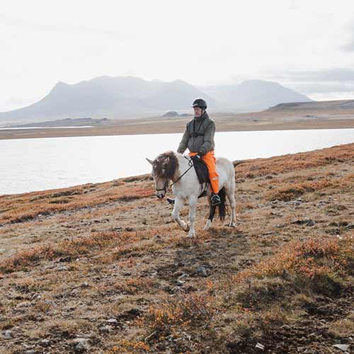 Icelandic Horse ©Islandshestar